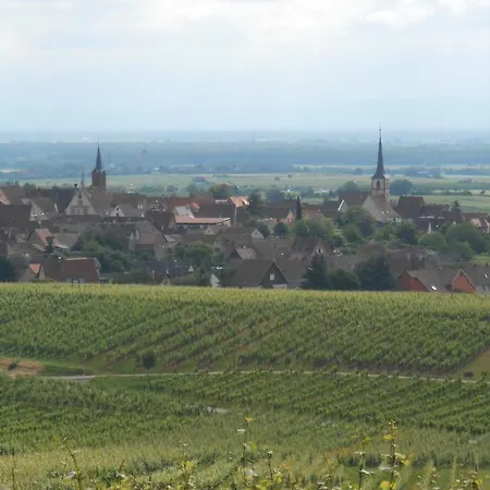 La Griffe A Foin Au Restaurant Raisin D'or Bed & Breakfast Mittelbergheim